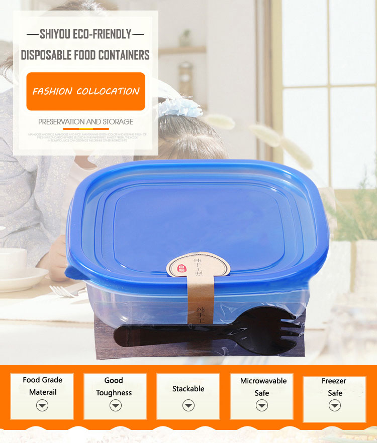 Disposable Reusable Takeaway Food Storage Containers